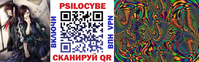 закладка  Сысерть  Псилоцибиновые грибы мухоморы 